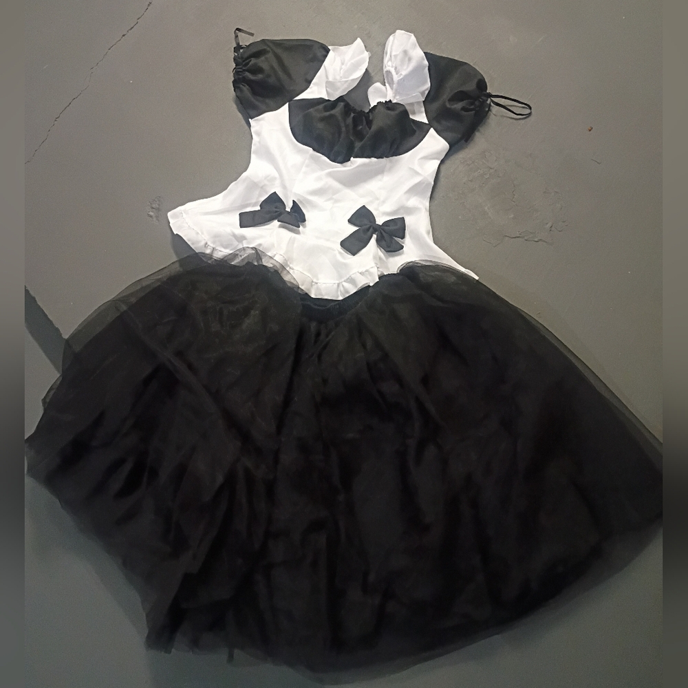 NWOT Anime Maid Cosplay Set